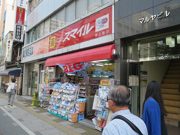 周辺環境(ドラッグスマイル東上野店 752m)