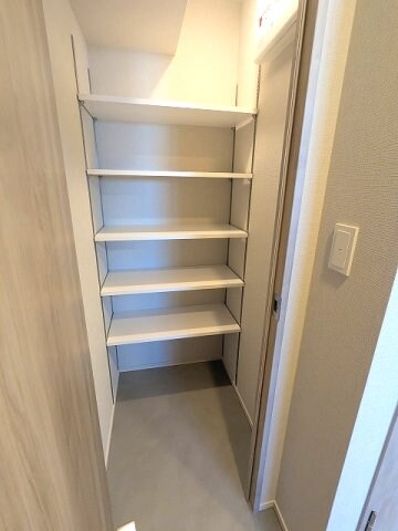 物件内観写真12　(キャリーケースも収納可能なシューズインクローゼットです)