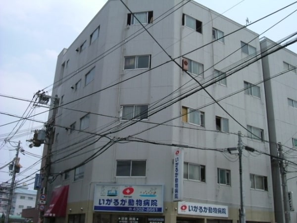 外観