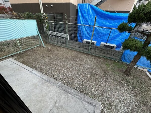 庭