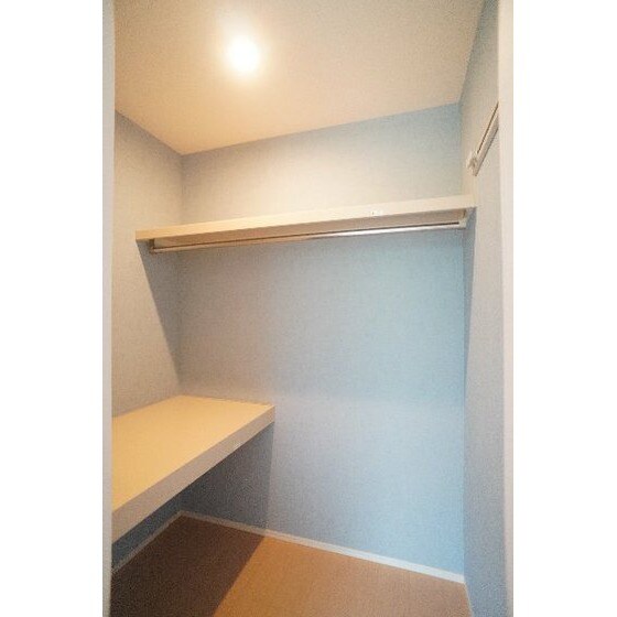 収納(ウォークインクローゼット)