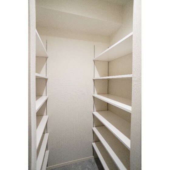 物件内観写真19　(シューズクローゼット)