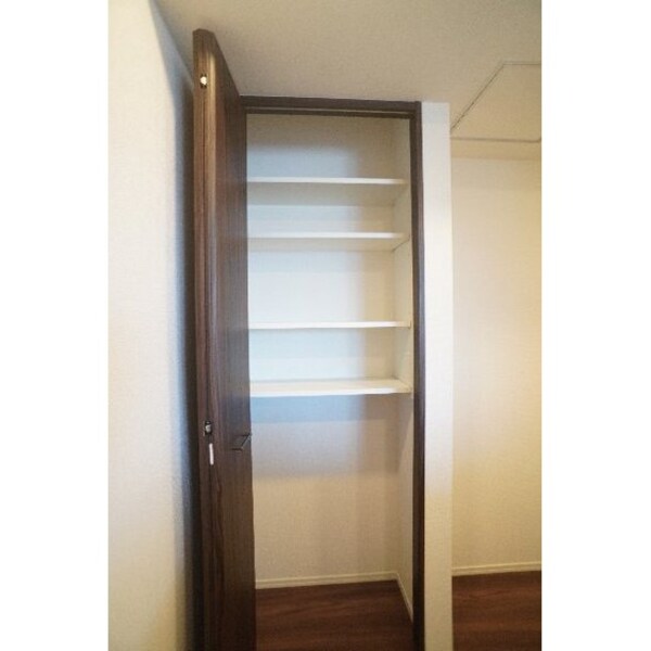 収納(キッチン後ろの収納)