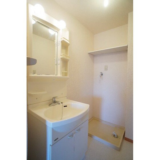 高崎グリーンハイツⅤの洗面所