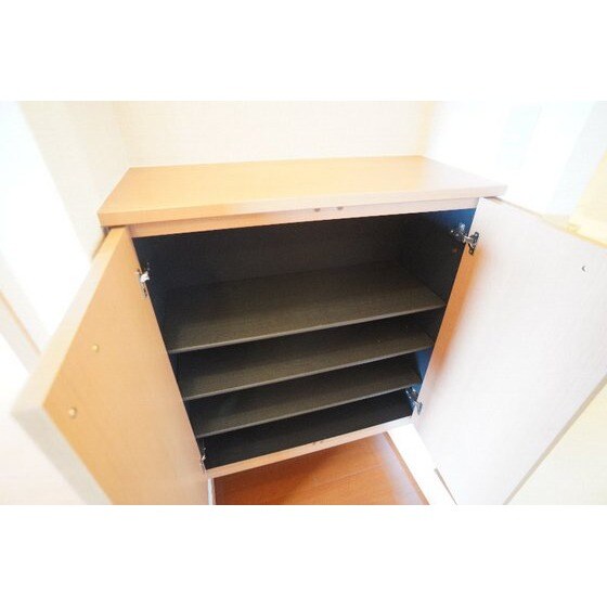 高崎グリーンハイツⅤの玄関