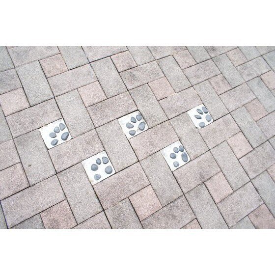 ちゅらストリームのその他