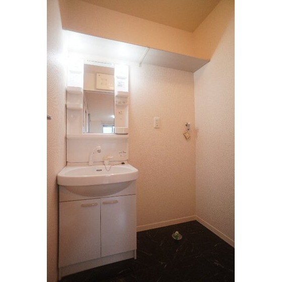 物件内観写真10　(シャンプードレッサー、室内洗濯)