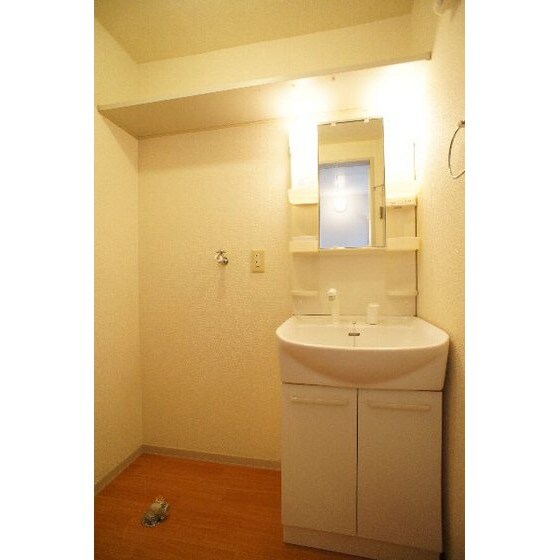 物件内観写真9　(シャンプードレッサー、室内洗濯)