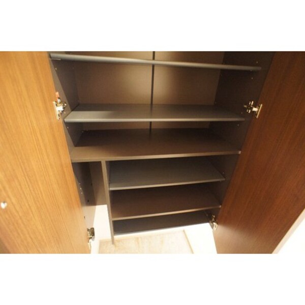 玄関(※同仕様、別の部屋の写真です)