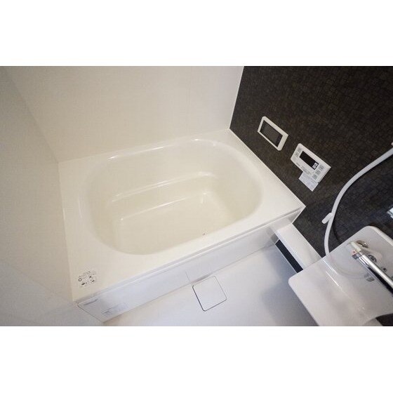 ＩＳＨＩＫＡＷＡ　ＨＩＬＬＳ　Ⅶのバス