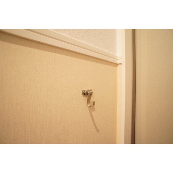 物件内観写真17　(リードフック)