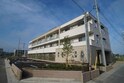 ラスタジオーネ