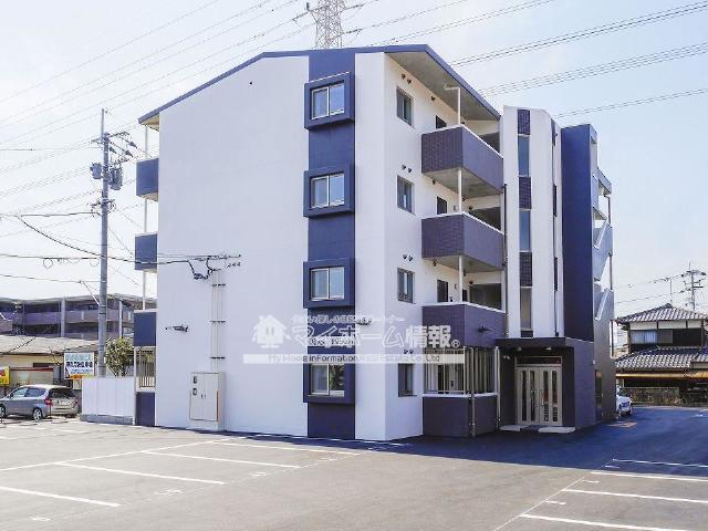 ヴァネッサ若楠