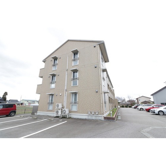 チューリップ フィールド