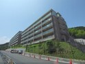 セレッソコート西大津レイクヒルズ217