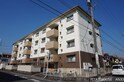 バロン幸定野