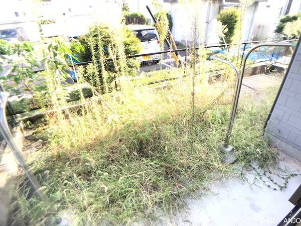 庭