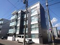 ミエル