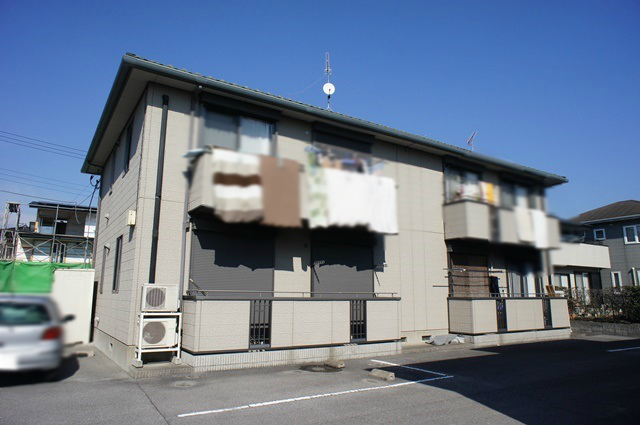 エバーグリーン C