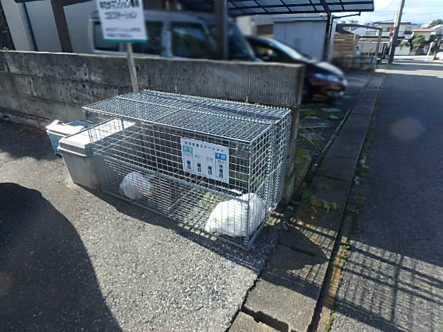 ゆたかマンション