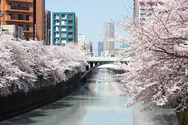 部屋画像_その他