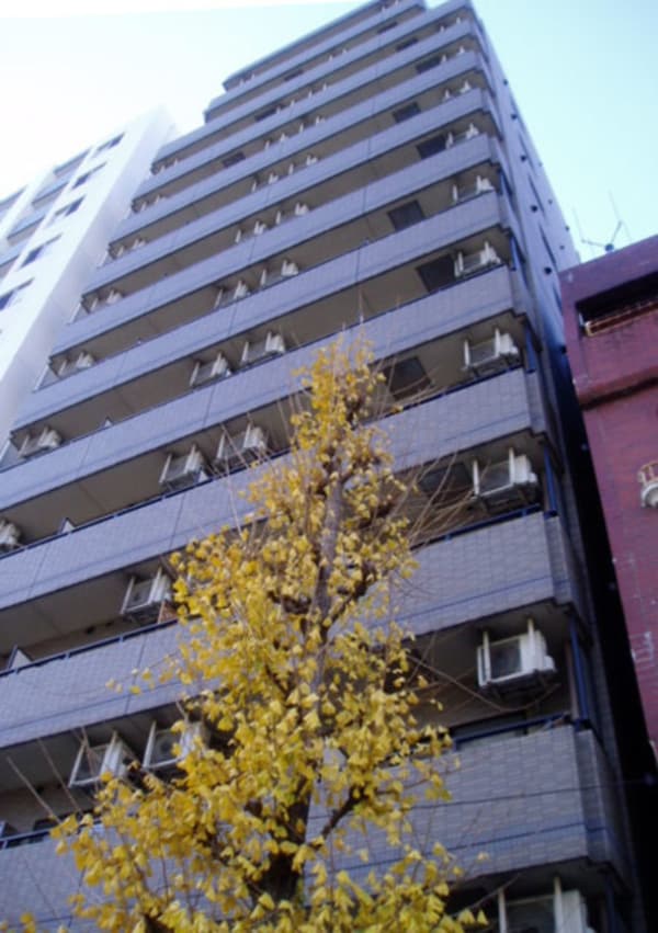 外観・土地