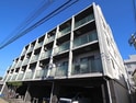ステラフィッサ2465