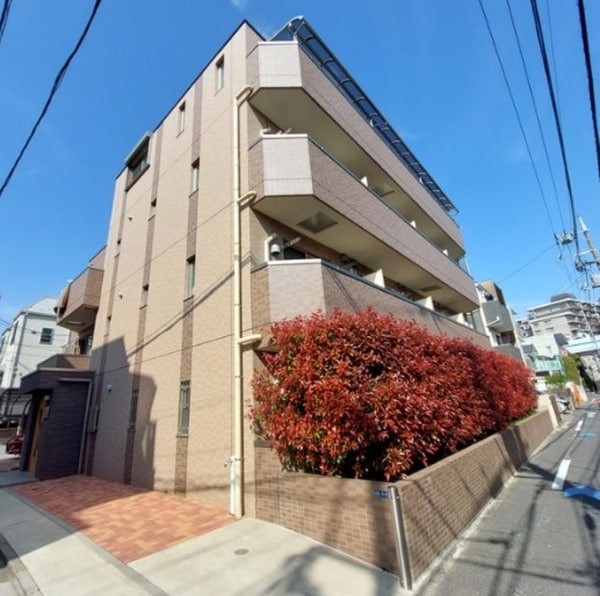 外観・土地