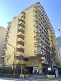 東京ベイビュウ