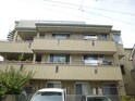 ピーグリーン