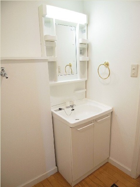 メゾン・プルミエ136の洗面所