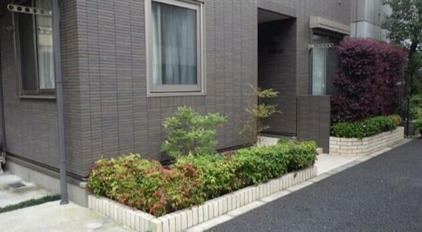 外観・土地