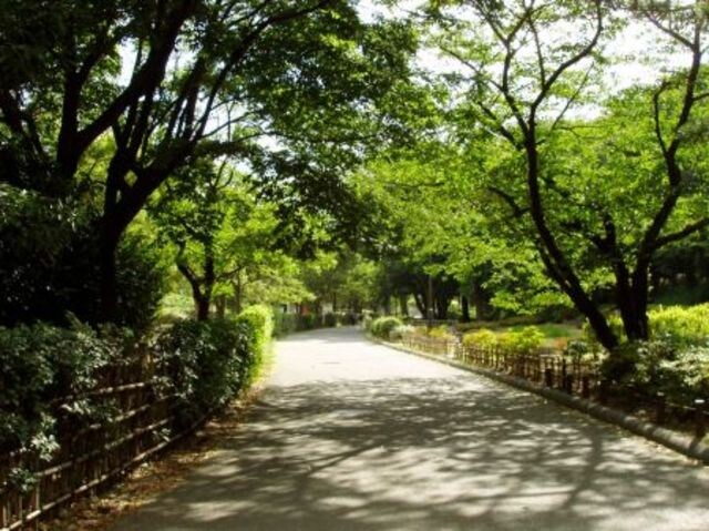 物件外観写真5　(駅周辺)