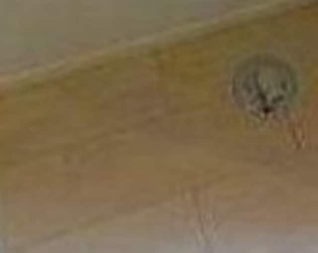 物件内観写真10　(室内洗濯機置場)