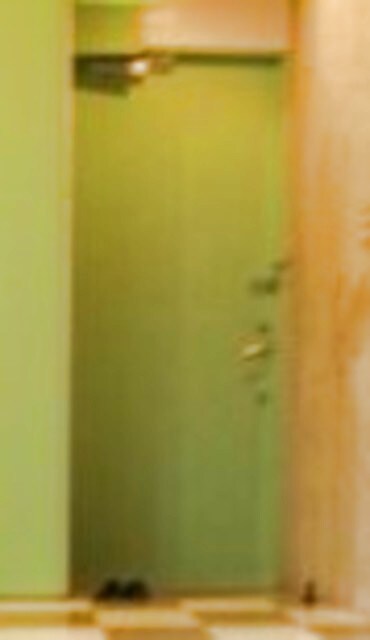 物件内観写真10　(玄関)