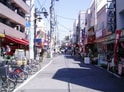 ワイズフォレスト