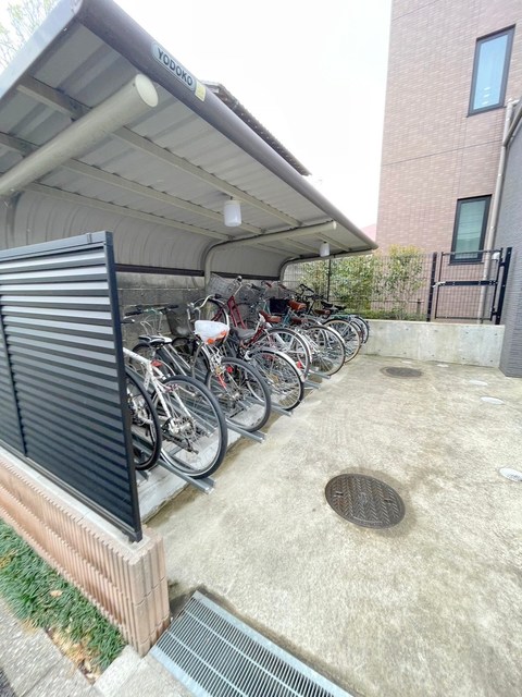 カーサブライト・DDS
