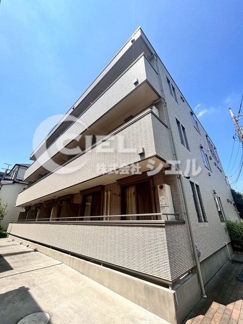 フィカーサ　いちょうの木