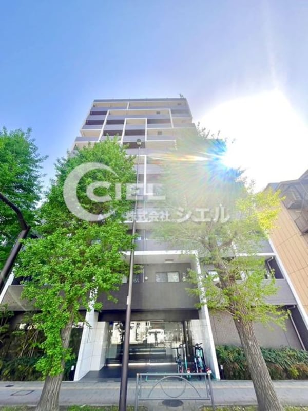 外観・土地