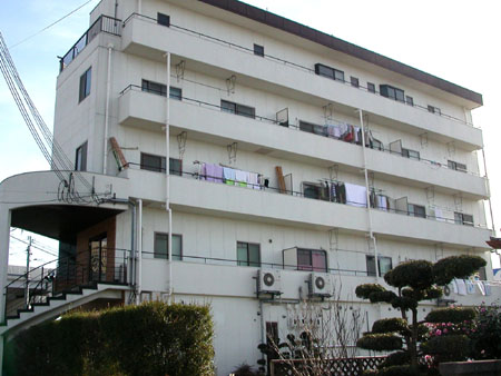 シャングリラ深井