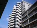 ニューライフ堺