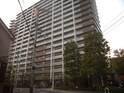 サウスオールシティレフトウイング