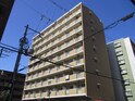 クレスト中もず