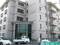 ＳＯＦＩＮＥ深井