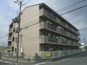 ニューサンライズ