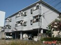 セレーナ土生