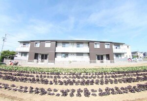 シャーメゾンオーキット外観写真