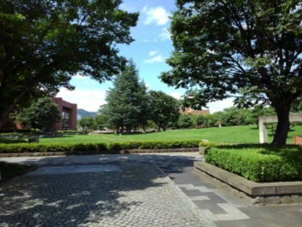周辺環境(若里公園まで200m)