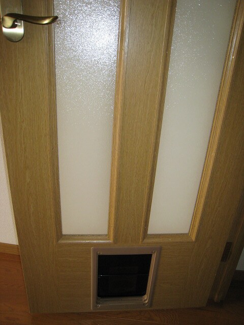 物件内観写真16　(室内ドア（ペット出入口有）)