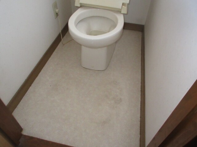 物件内観写真8　(トイレです)